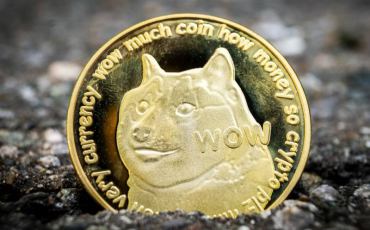 dogecoin dogecoin